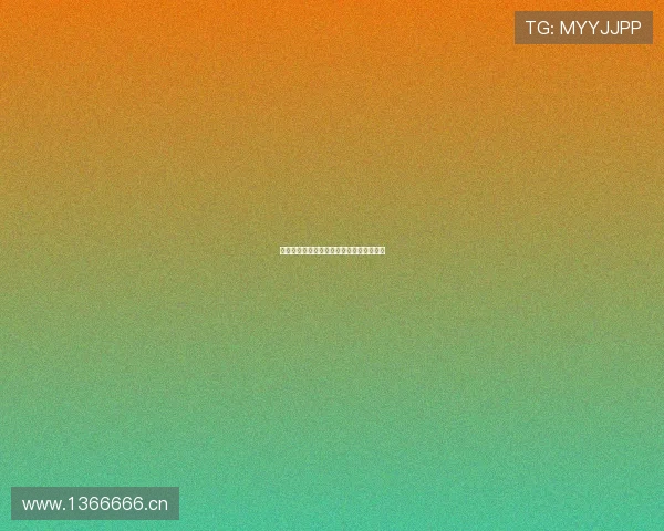 荷乙最新赛程与战绩分析全面解读官方资讯